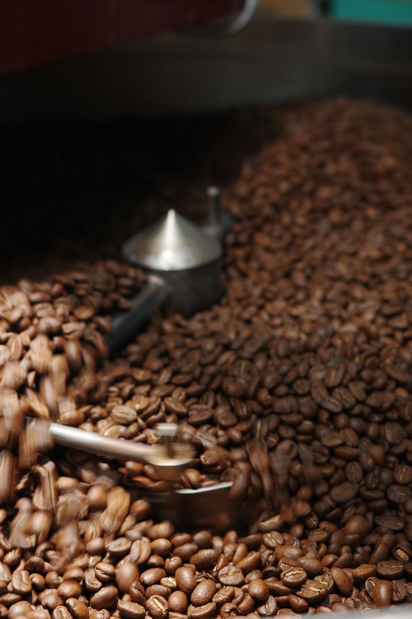Freshly roasted beans turning in the cooling tray