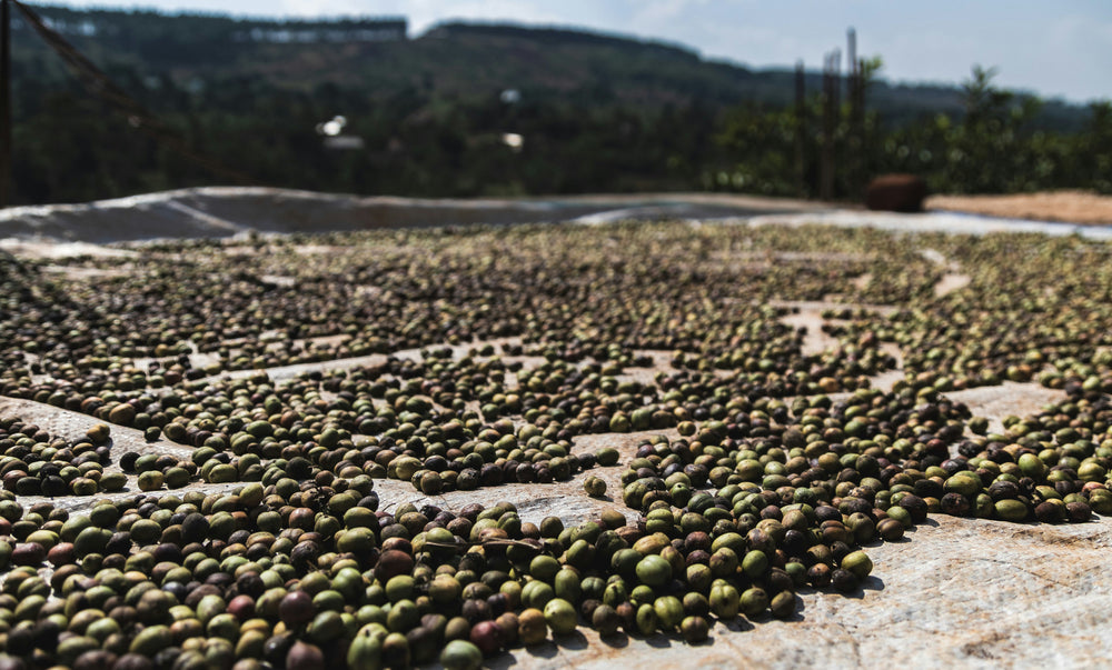 Farm's in Colombia